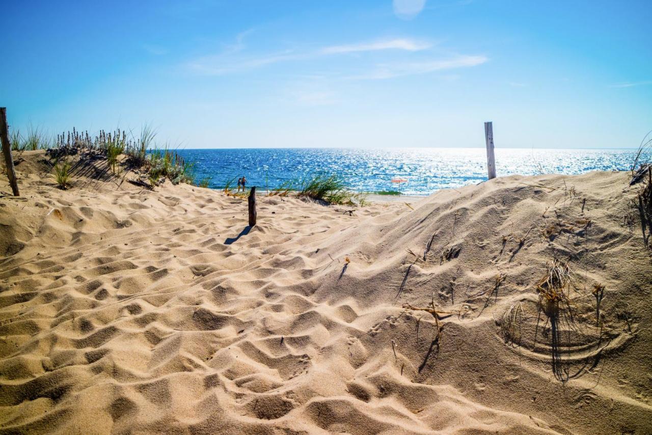 צ'טהאם Oyster Beach Bungalow מראה חיצוני תמונה