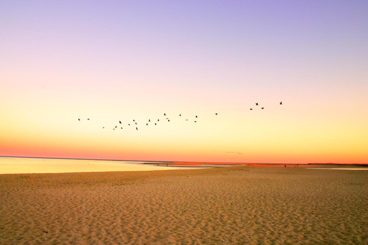 צ'טהאם Oyster Beach Bungalow מראה חיצוני תמונה